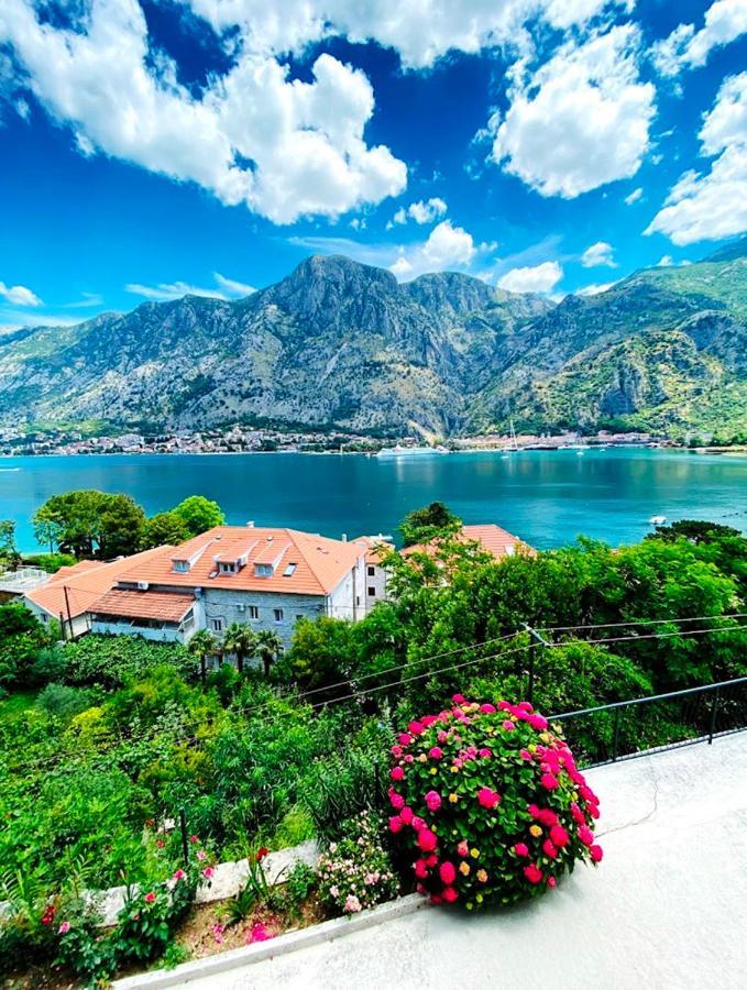 Doncic Apartment Kotor